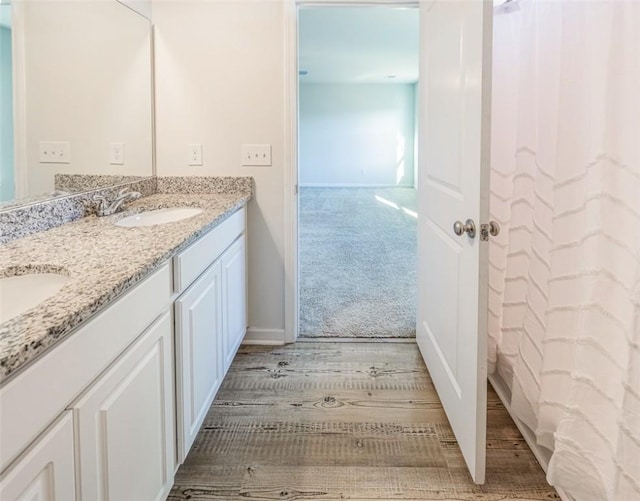 bathroom with wood-type flooring and vanity