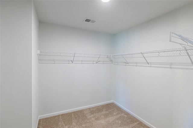 walk in closet with carpet floors