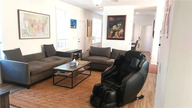 living room with hardwood / wood-style floors