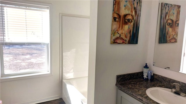 bathroom featuring vanity and a wealth of natural light