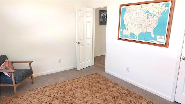 living area featuring carpet flooring