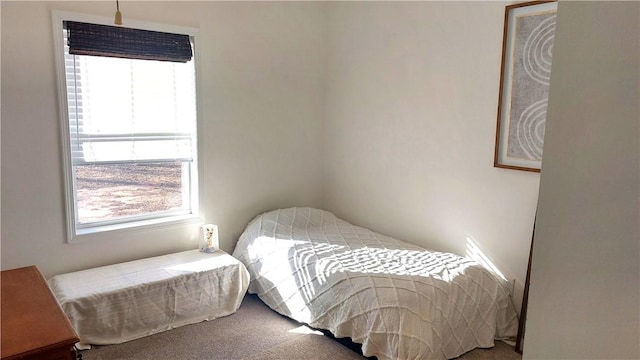 bedroom featuring carpet flooring