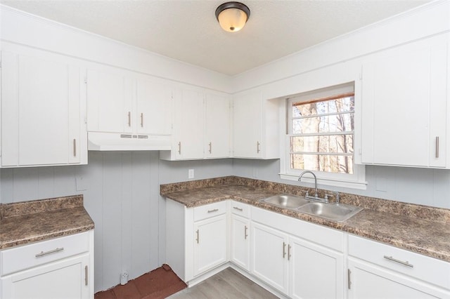 kitchen with wood-type flooring, white cabinets, and sink