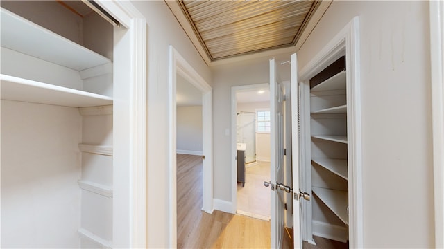 hall featuring light wood-type flooring