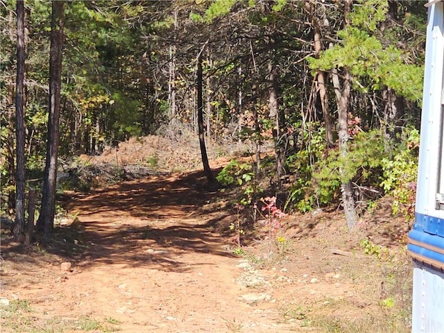 254 Crystal Ln, Pickens, SC 29671 - view of local wilderness