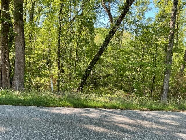 0 Reece Mill Rd, Pickens SC, 29671 land for sale