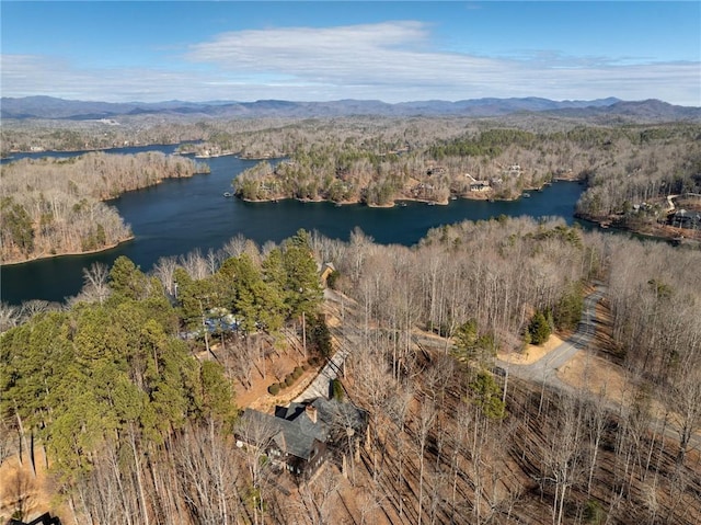 birds eye view of property featuring a water and mountain view