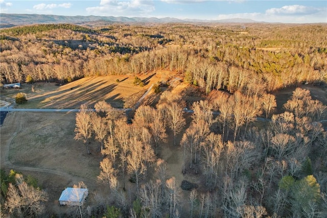 drone / aerial view featuring a mountain view