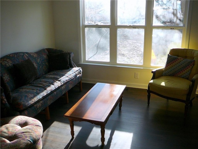 living room featuring hardwood / wood-style floors