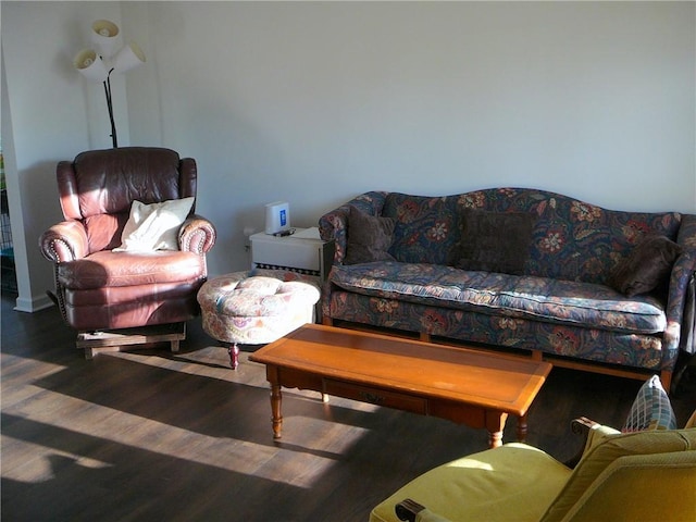 living room with wood-type flooring