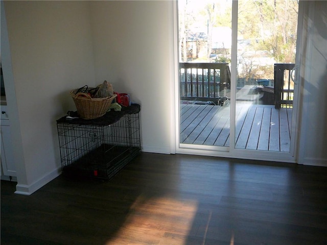 doorway with dark hardwood / wood-style floors