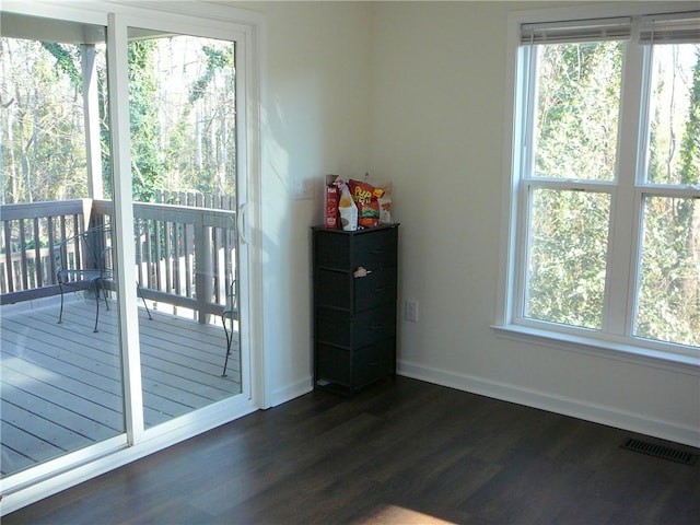 entryway with a wealth of natural light and dark hardwood / wood-style flooring