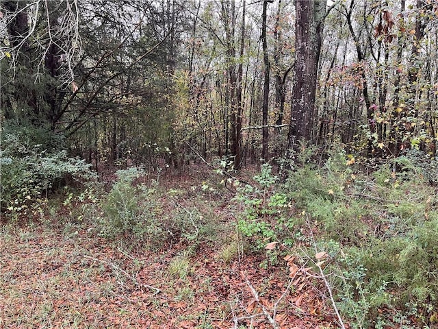 0 Evergreen Church Rd, Starr SC, 29684 land for sale