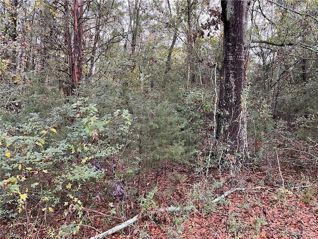 Listing photo 3 for 0 Evergreen Church Rd, Starr SC 29684