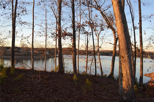 Listing photo 3 for 0 Waterside Pt, Abbeville SC 29620