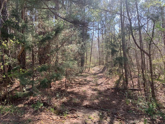 0 Dogwood Ln, Abbeville, SC 29620