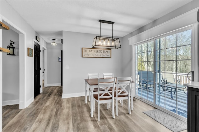 dining room featuring wood-type flooring and a textured ceiling