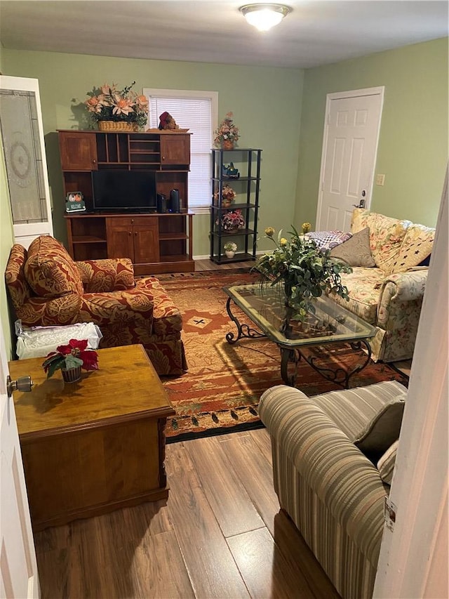 living room with wood-type flooring