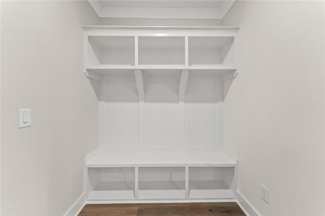 mudroom featuring dark hardwood / wood-style flooring