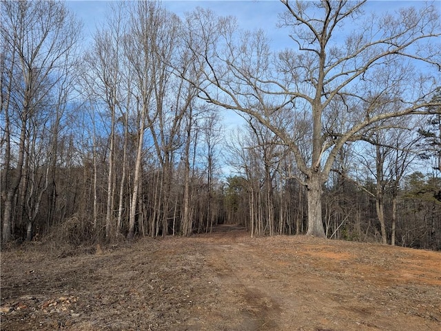112 Park Ave, Salem, SC 29676 - photo 8