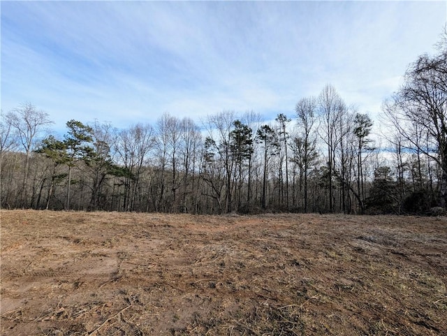 112 Park Ave, Salem, SC 29676 - photo 9