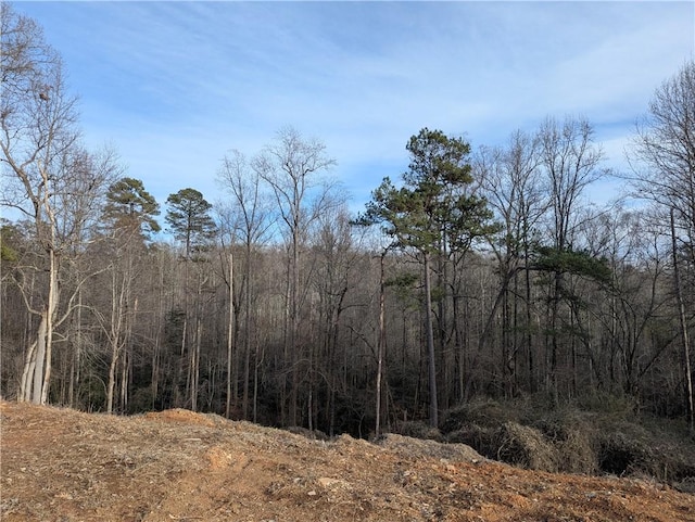 112 Park Ave, Salem, SC 29676 - photo 12