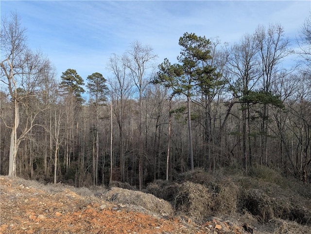 112 Park Ave, Salem, SC 29676 - photo 13