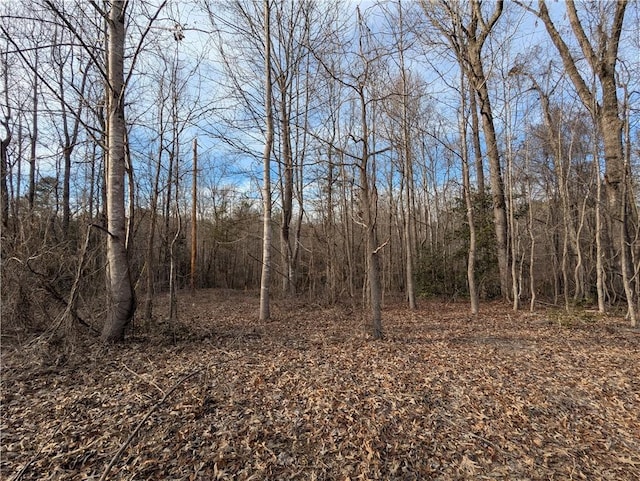 112 Park Ave, Salem, SC 29676 - photo 15