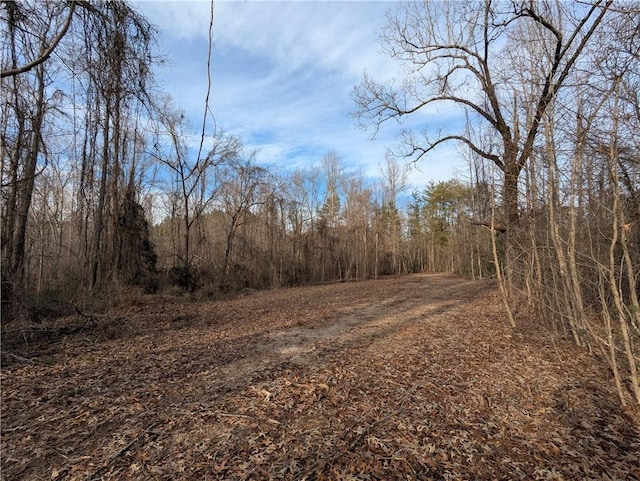 112 Park Ave, Salem, SC 29676 - photo 17