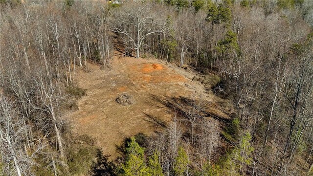 112 Park Ave, Salem, SC 29676 - photo 6