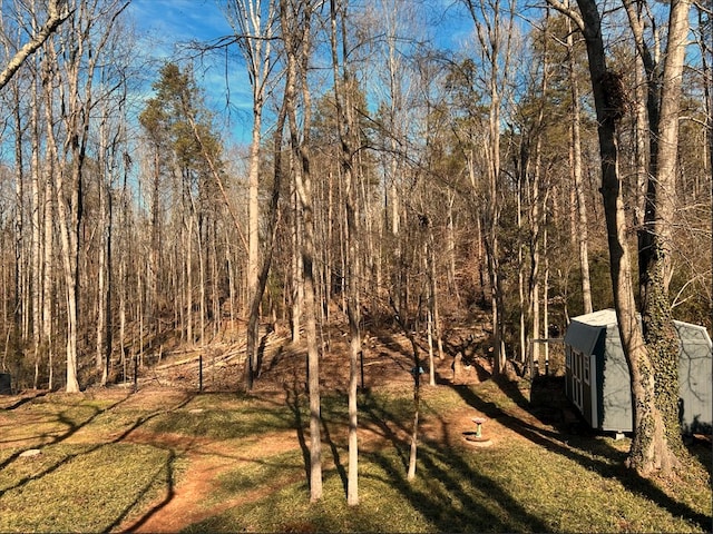 view of yard with an outdoor structure