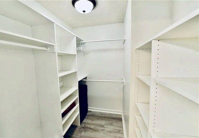 walk in closet featuring wood finished floors