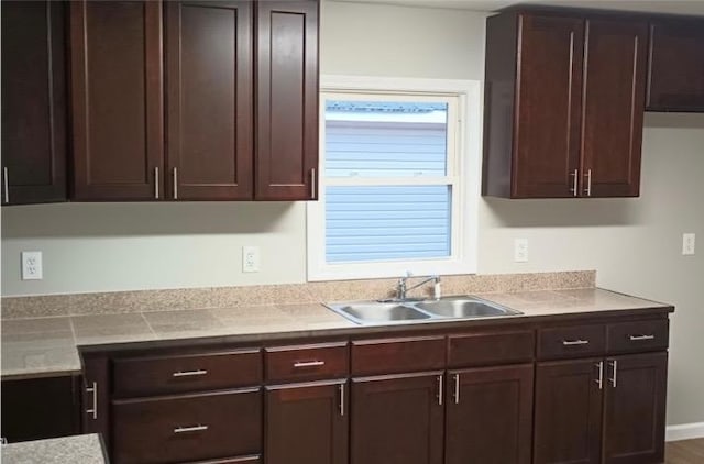 kitchen with sink, hardwood / wood-style floors, and dark brown cabinetry