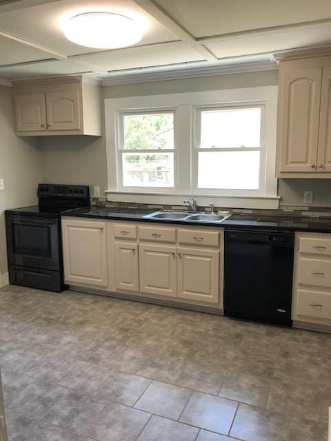 kitchen featuring ornamental molding, sink, and black appliances