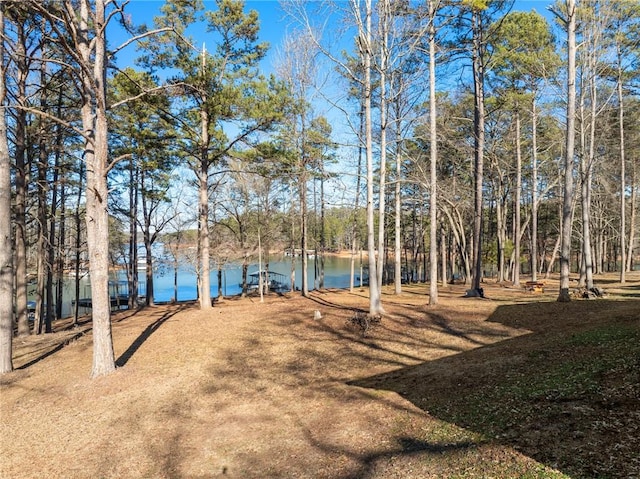 view of yard featuring a water view