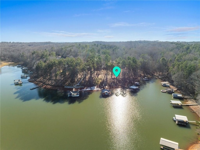 drone / aerial view featuring a water view and a wooded view