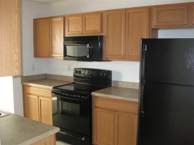 kitchen with black appliances