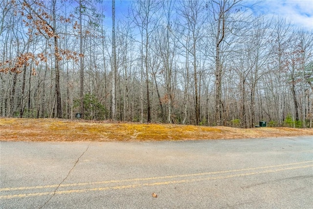 30 Lakes Edge Way, Marietta SC, 29661 land for sale