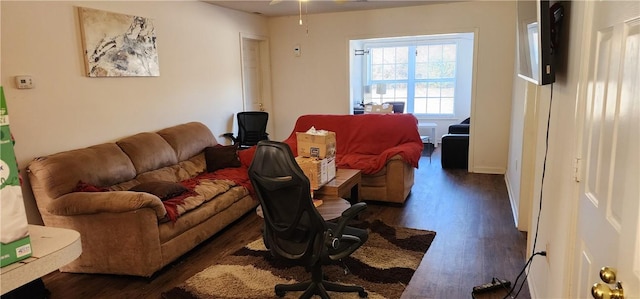 living room featuring dark hardwood / wood-style floors