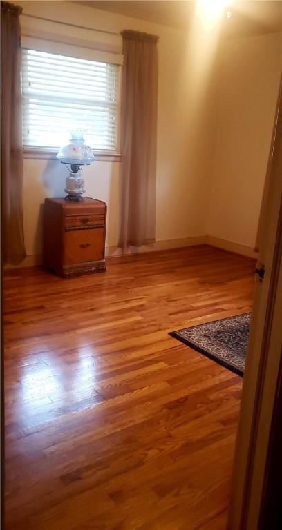 empty room featuring light wood-type flooring