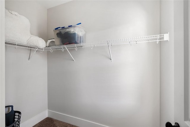 spacious closet with carpet