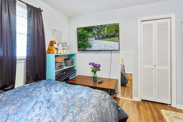 6 Ivy Ct, Seneca, SC 29678 - bedroom featuring multiple windows, light hardwood / wood-style floors, and a closet