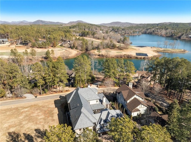 birds eye view of property featuring a water and mountain view