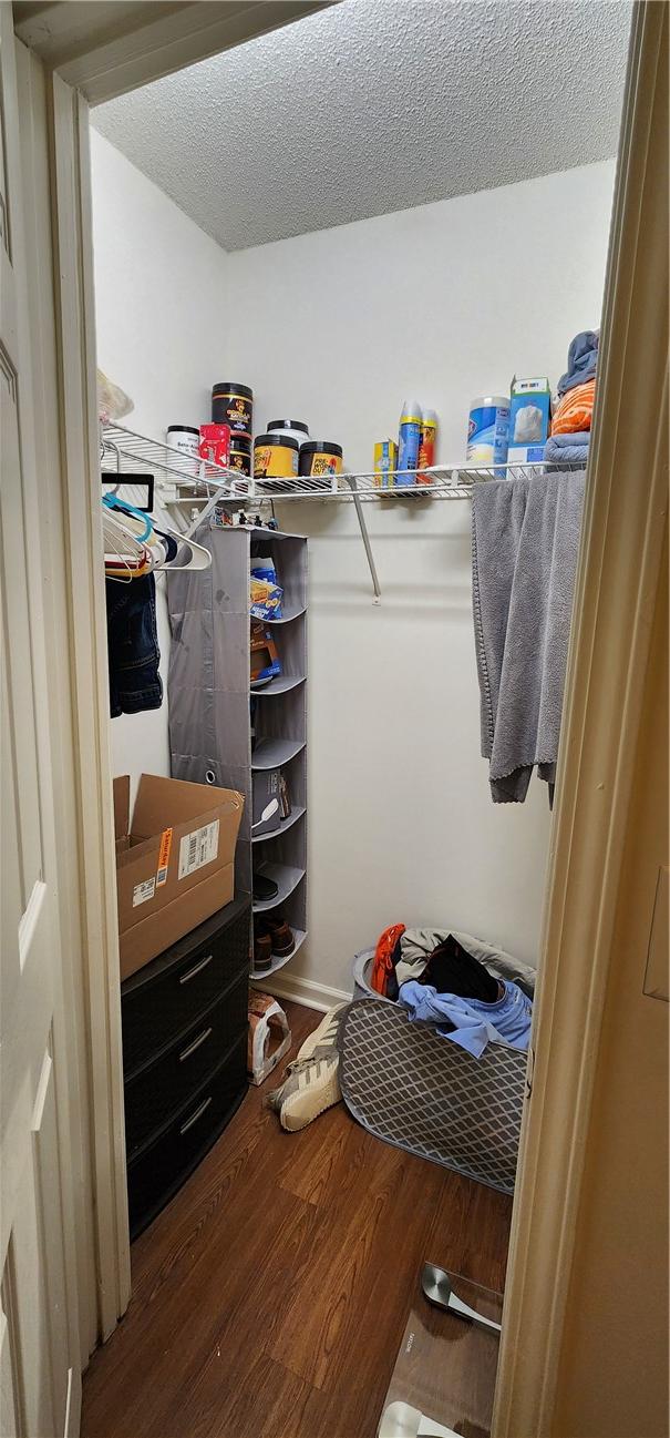 spacious closet with dark hardwood / wood-style floors