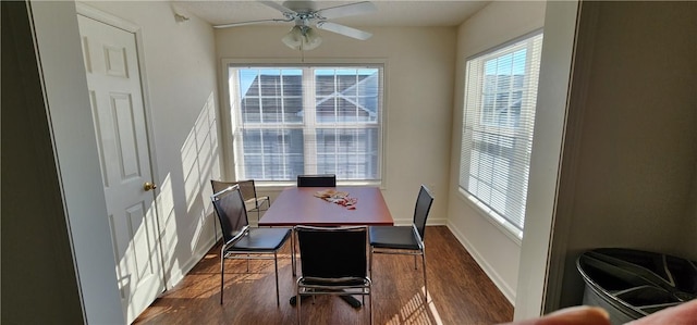 dining area featuring ceiling fan and dark hardwood / wood-style flooring