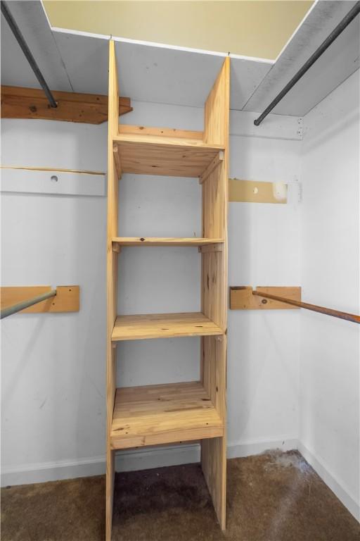 109 Pine Tree Ln, Anderson, SC 29625 - view of walk in closet