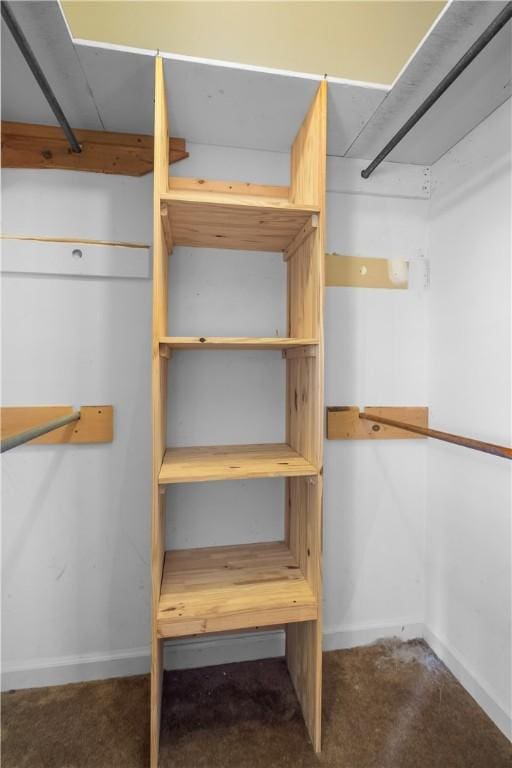 109 Pine Tree Ln, Anderson, SC 29625 - view of spacious closet