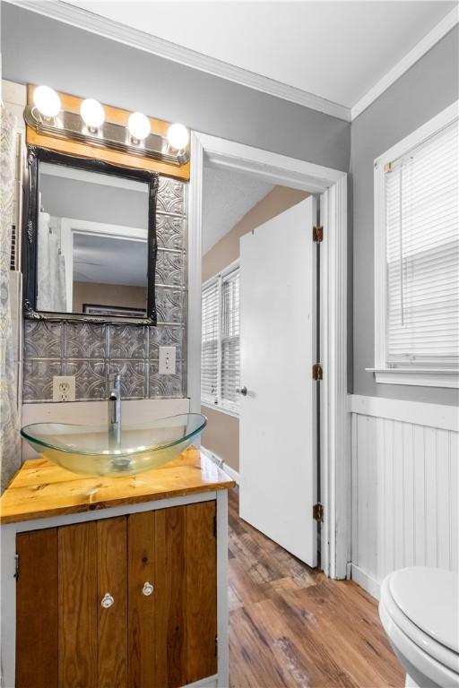 109 Pine Tree Ln, Anderson, SC 29625 - bathroom with vanity, wood finished floors, crown molding, a wainscoted wall, and plenty of natural light