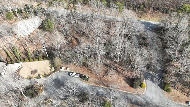 LOT11 Wynwood Ct, Seneca, SC 29672 - photo 11