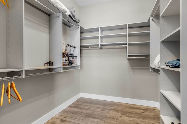 spacious closet featuring light hardwood / wood-style flooring